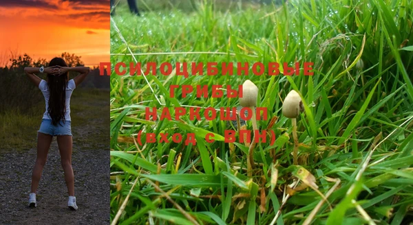 mix Аркадак