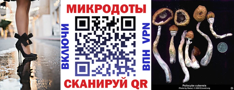 Галлюциногенные грибы прущие грибы Тетюши