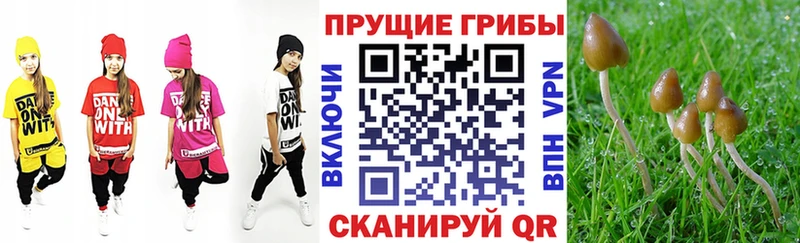 Псилоцибиновые грибы Psilocybe Тетюши